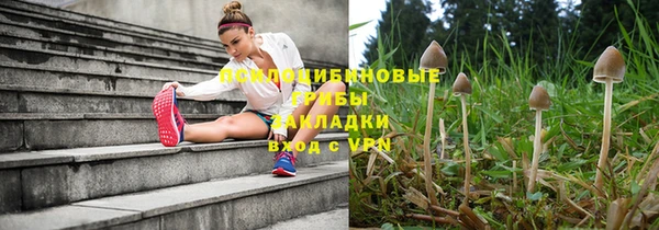 синтетический гашиш Пролетарск