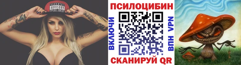 Галлюциногенные грибы MAGIC MUSHROOMS  Купить закладки  Райчихинск 